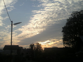 2011102516000002.jpg