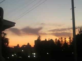 2011110117110001.jpg