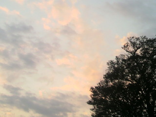 2011111516250003.jpg