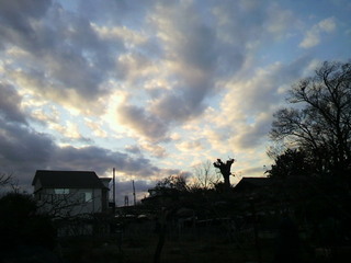 2012011216150000.jpg
