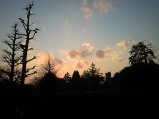 2012040918000000.jpg
