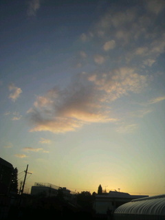 2012102516400001.jpg