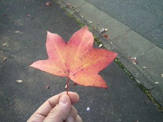 2012111310310000.jpg