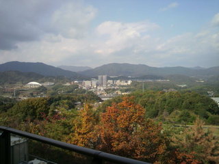 2012111311040002.jpg