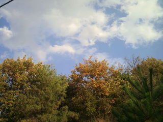 2012111316060001.jpg