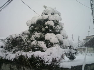 2013011414450000.jpg