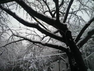 2013011415060001.jpg