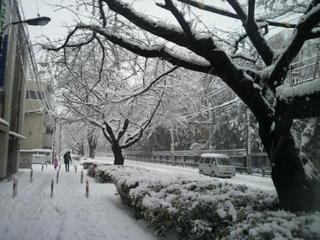 2013011415070000.jpg