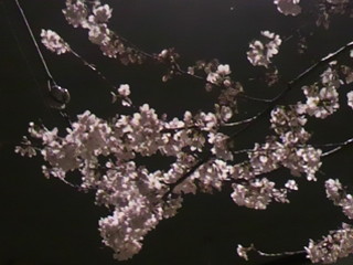 2013032322560000.jpg