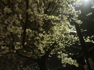 2013032322570000.jpg