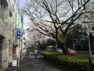 2013032415060000.jpg