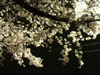 2013032501010000.jpg