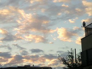 2013102616410000.jpg