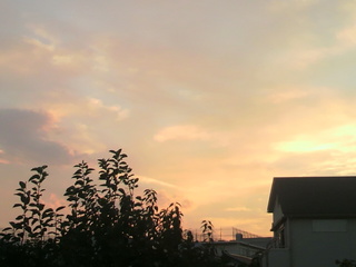 2013103016440002.jpg
