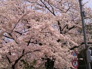 2014040113450000.jpg