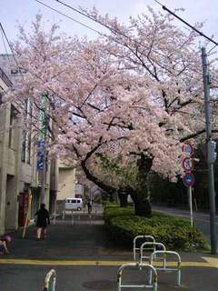 2014040113450001.jpg