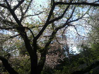 2014040611320001.jpg