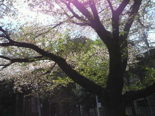 2014040611320003.jpg
