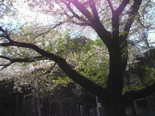 2014040611320003.jpg