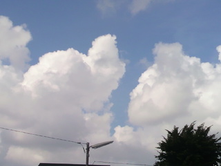 夏の雲.JPG