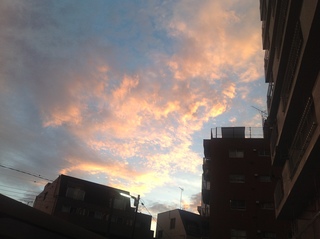 夏夕暮れ.JPG