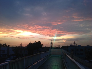 夕暮れ歩道橋.JPG