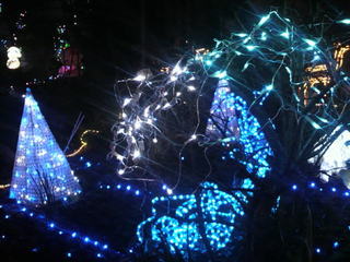 桜台クリスマス2.jpg