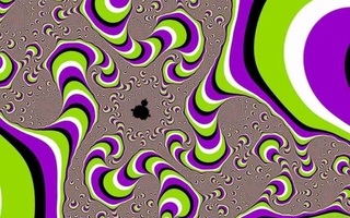 image.jpg